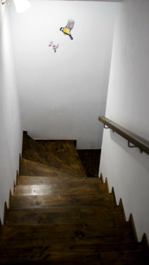 Anemona'S House In The Center Of Sibiu Villa Exterior foto